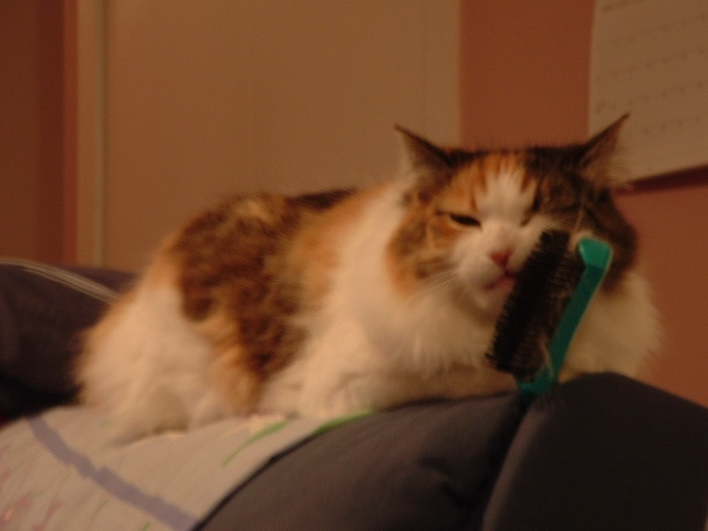 Mindy likes to brush her hair