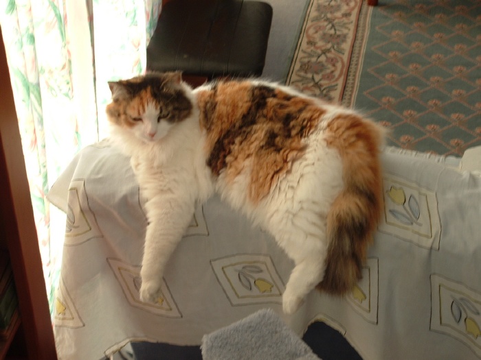 Mindy again - when do I get a photo?