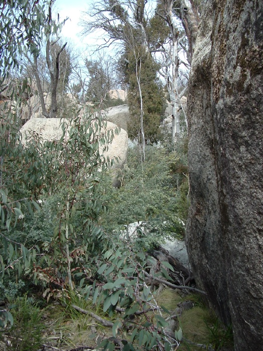 And a few more to climb over