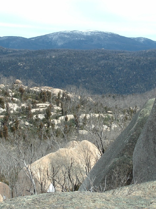 Bimberi Peak