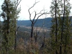 A view down to the valley